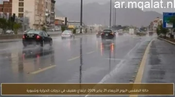 تحذير للأرصاد.. ارتفاع مفاجئ في درجات الحرارة وظهور شبورة مائية كثيفة غدًا